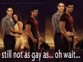 Still not as gay as oh wait
