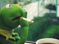 Kermit rano