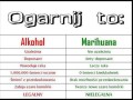 Ogarnij to 