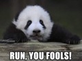 Pandalf