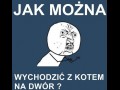 Z kotem