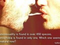 Homoseksualizm