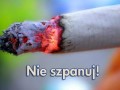 Nie szpanuj kurwa  