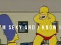 Im sexy and i know it