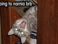 Narnia