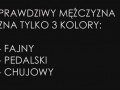 Kolory