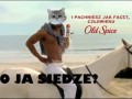 Co ja siedze