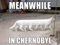 Czarnobyl  