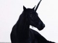 Highway unicorn