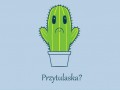Przytulaska