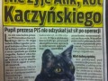 Nie żyje Alik - kot Kaczyńskiego 
