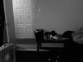 Paranormal activity widzisz ducha