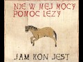 Jam koń jest