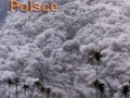 Dzień legalizacji zioła w Polsce
