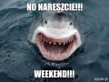 NO NARESZCIE!!!
