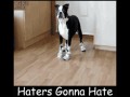 Haters gonna hate