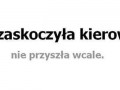 Zima zaskoczyła kierowców
