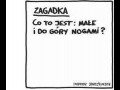 Zagadka dnia