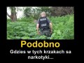 Podobno...