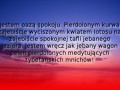 Jestem oazą spokoju