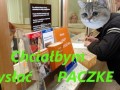 Chciałbym wysłać paczkę