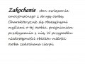 Zakochanie