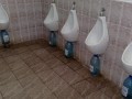 Ciekawe pisuary