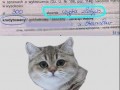 Co ja pisze