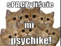 Spaczyliście mi psychikę!