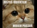 Jesteś obiektem moich paczań