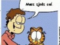 Nikt nie będzie mi mówił co mam robić