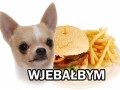 Wjebałbym