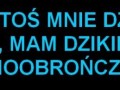 Mam dzikie ruchy