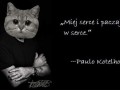 Miej serce i paczaj w serce