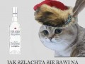 Szlachta się bawi