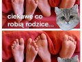 Ciekawe...
