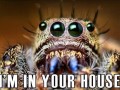 Im in your house