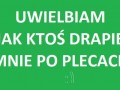 Uwielbiam drapanie