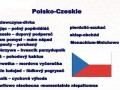 Czechy