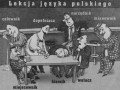 Lekcja języka polskiego