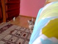 Thriller z kotem w roli głównej