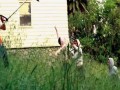Nickelback - This Afternoon