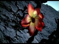 3 Doors Down - Away From The Sun