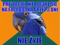 Przyjaciel nie loguje sie 3 dni na Fb tzn że nie żyje