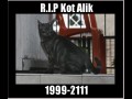 Kot Alik