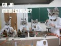 Co ja miareczkuje