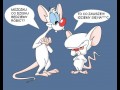 Co dzisiaj będziemy robić