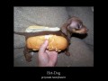 Hot-Dog