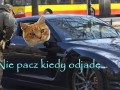 Nie pacz kiedy odjadę