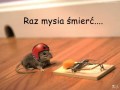 Raz mysia śmierć